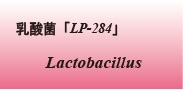 乳酸菌「LP-284」